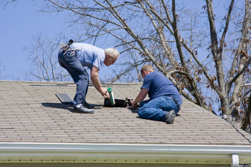 Professional Roof Repair Service