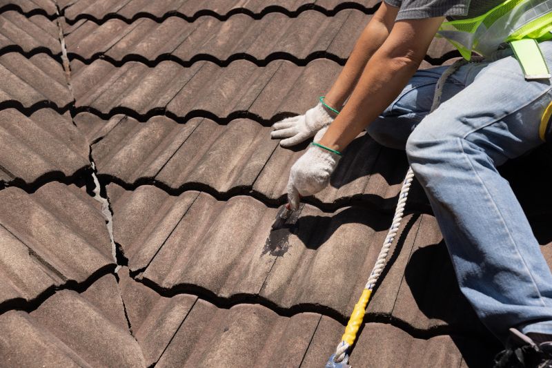 Roof Repair Expertise